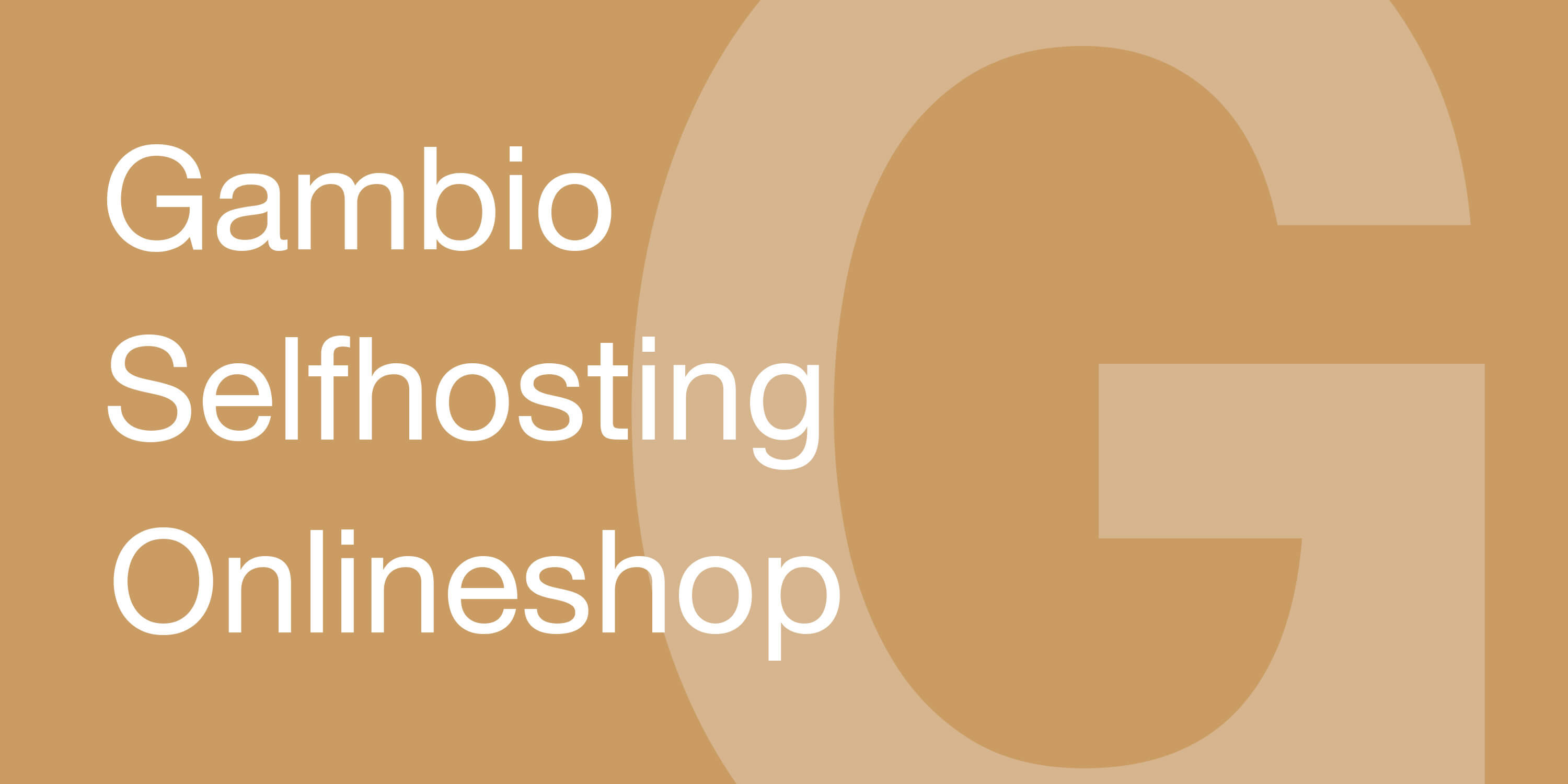 Gambio, Onlineshop, Themedesign, Programmierung